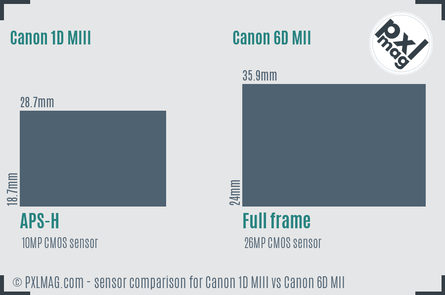 Canon 1D MIII vs Canon 6D MII sensor size comparison