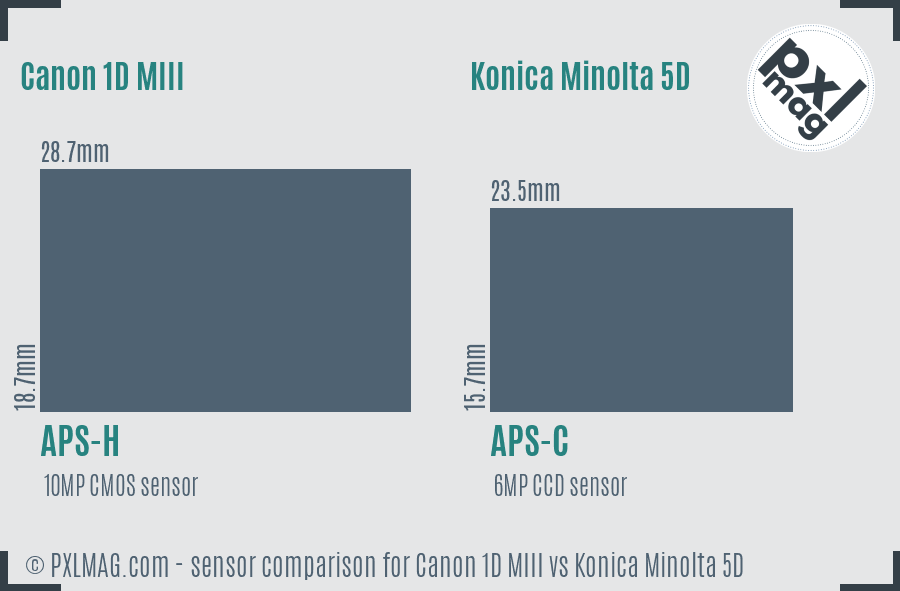 Canon 1D MIII vs Konica Minolta 5D sensor size comparison Canon 1D MIII vs Konica Minolta 5D sensor size comparison