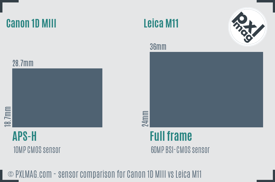 Canon 1D MIII vs Leica M11 sensor size comparison