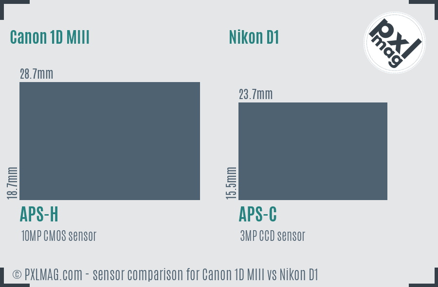 Canon 1D MIII vs Nikon D1 sensor size comparison