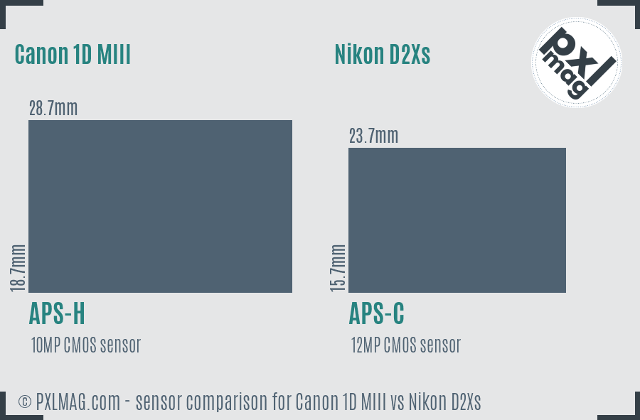 Canon 1D MIII vs Nikon D2Xs sensor size comparison