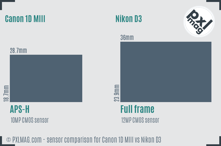 Canon 1D MIII vs Nikon D3 sensor size comparison