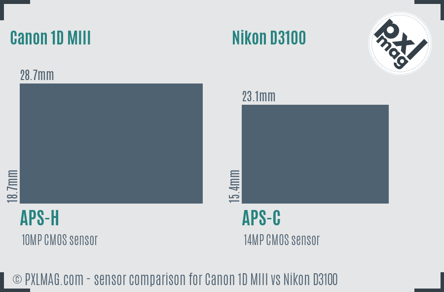 Canon 1D MIII vs Nikon D3100 sensor size comparison Canon 1D MIII vs Nikon D3100 sensor size comparison