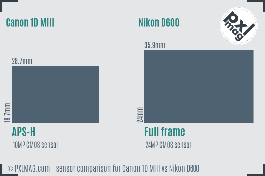 Canon 1D MIII vs Nikon D600 sensor size comparison