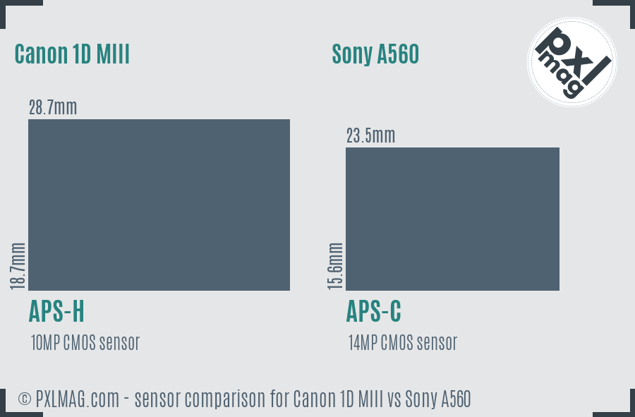 Canon 1D MIII vs Sony A560 sensor size comparison