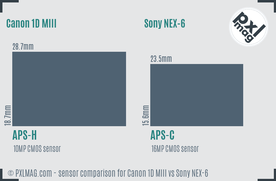 Canon 1D MIII vs Sony NEX-6 sensor size comparison Canon 1D MIII vs Sony NEX-6 sensor size comparison