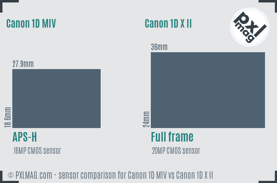 Canon 1D MIV vs Canon 1D X II sensor size comparison