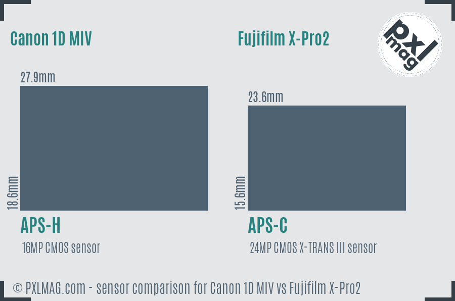 Canon 1D MIV vs Fujifilm X-Pro2 sensor size comparison