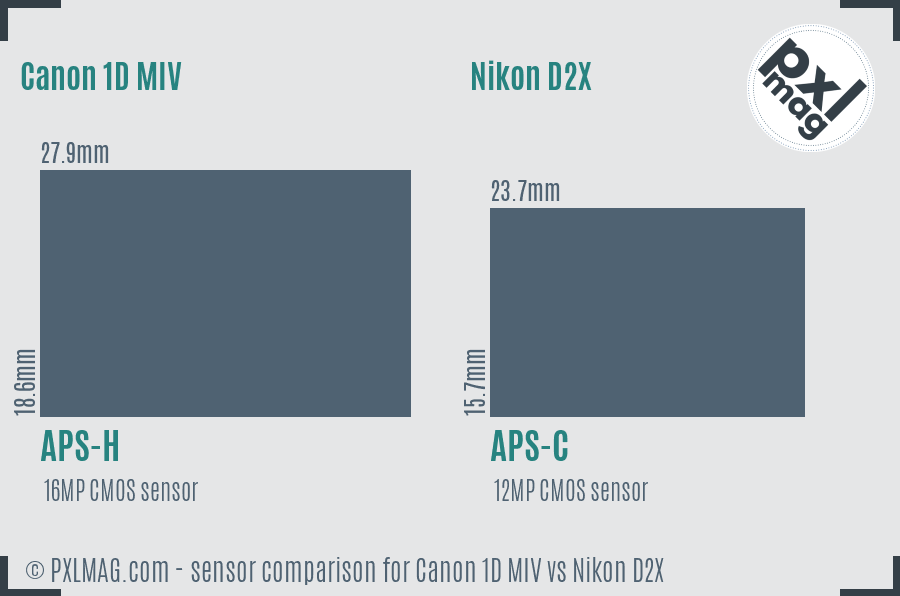 Canon 1D MIV vs Nikon D2X sensor size comparison