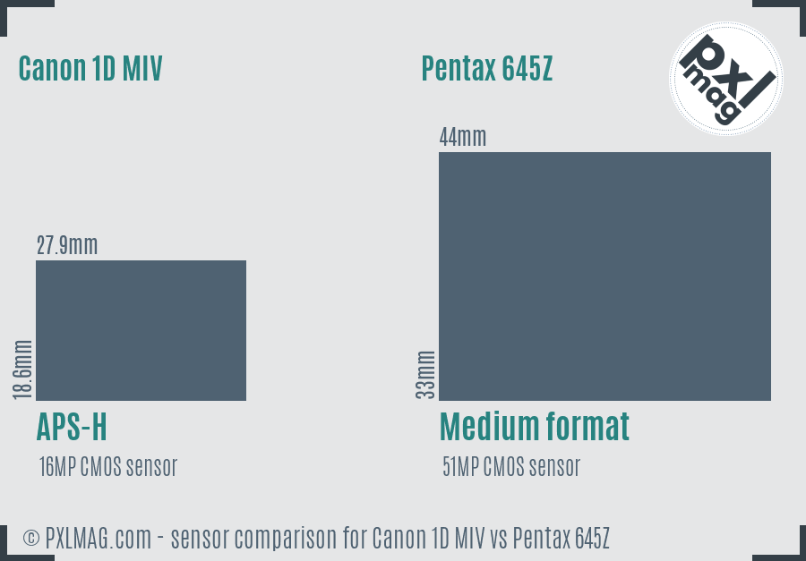 Canon 1D MIV vs Pentax 645Z sensor size comparison
