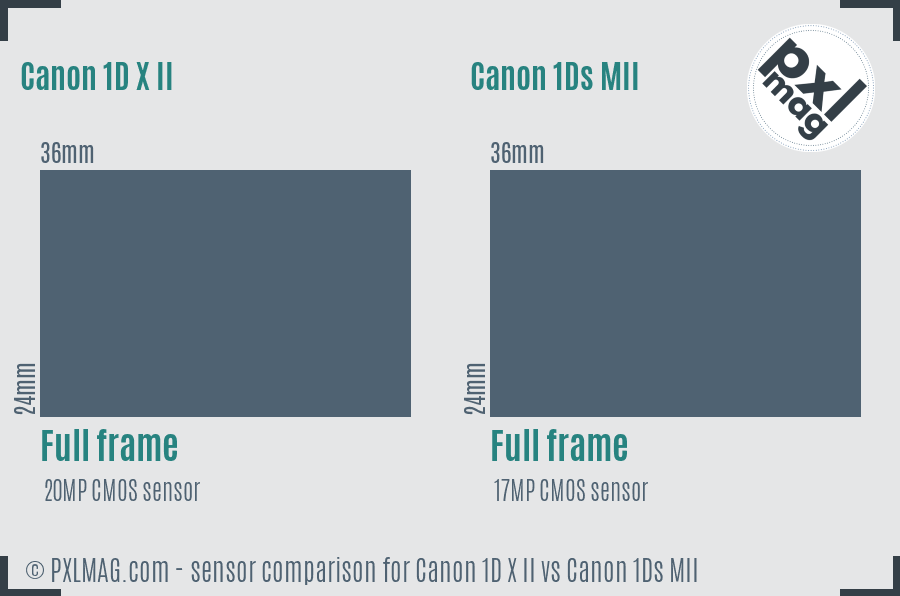 Canon 1D X II vs Canon 1Ds MII sensor size comparison