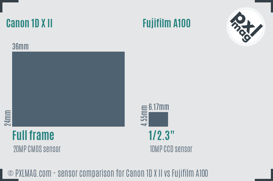 Canon 1D X II vs Fujifilm A100 sensor size comparison