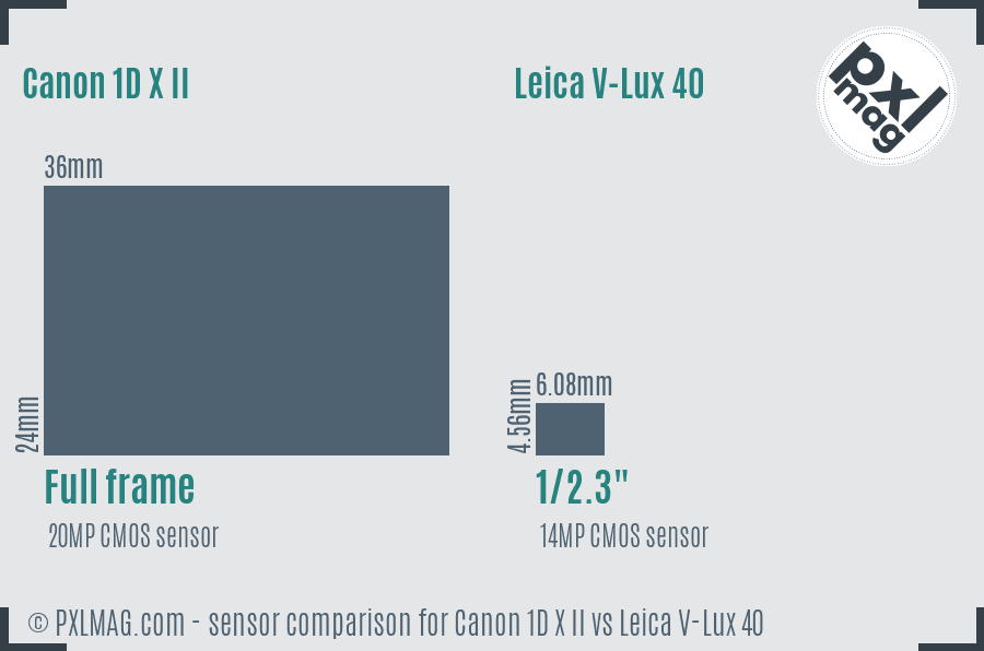 Canon 1D X II vs Leica V-Lux 40 sensor size comparison