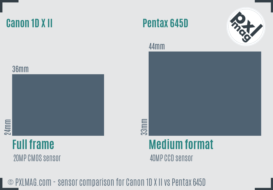 Canon 1D X II vs Pentax 645D sensor size comparison
