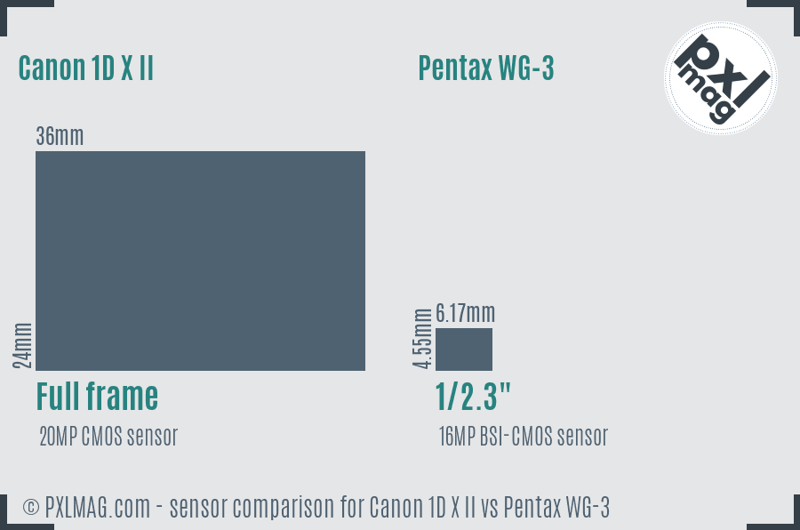Canon 1D X II vs Pentax WG-3 sensor size comparison