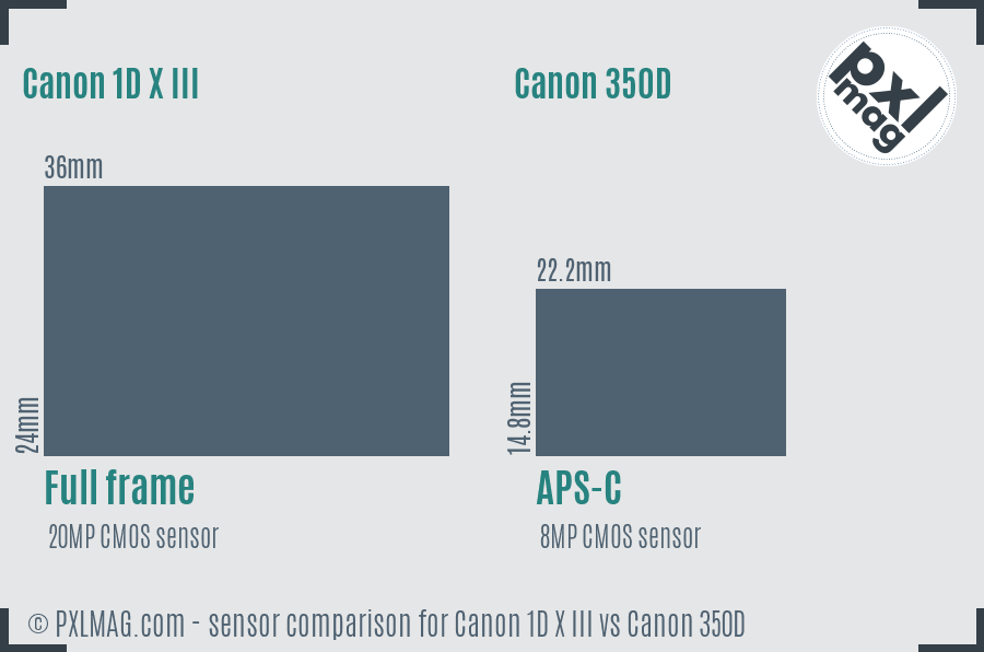 Canon 1D X III vs Canon 350D sensor size comparison