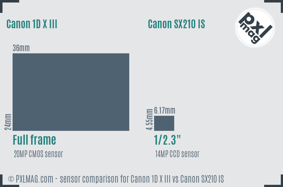 Canon 1D X III vs Canon SX210 IS sensor size comparison