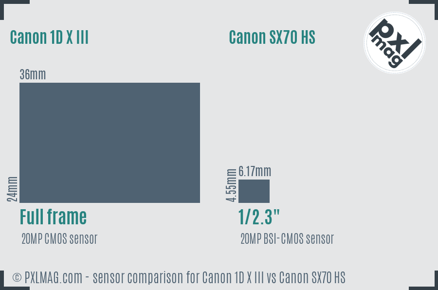 Canon 1D X III vs Canon SX70 HS sensor size comparison