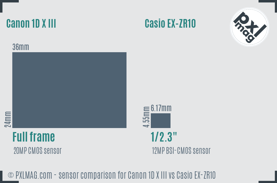 Canon 1D X III vs Casio EX-ZR10 sensor size comparison Canon 1D X III vs Casio EX-ZR10 sensor size comparison