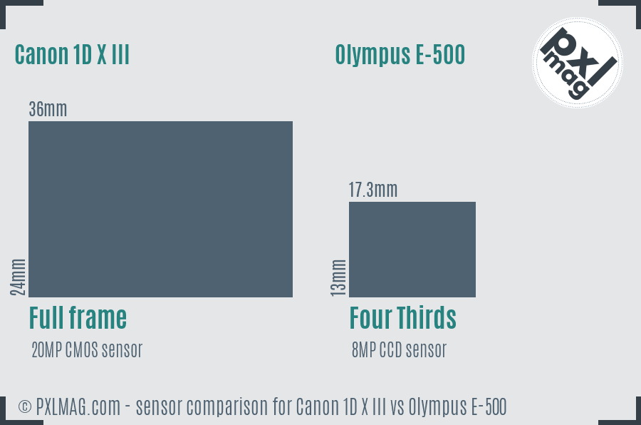 Canon 1D X III vs Olympus E-500 sensor size comparison