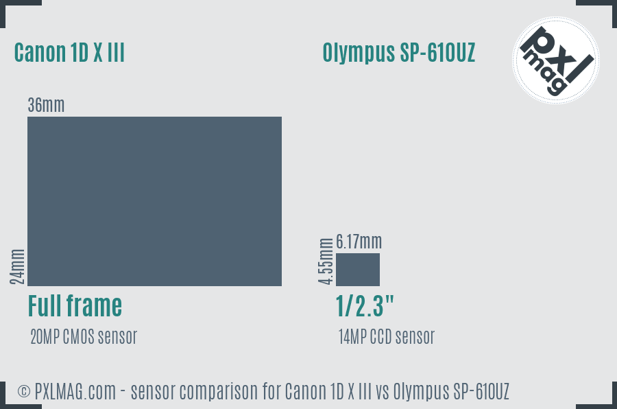 Canon 1D X III vs Olympus SP-610UZ sensor size comparison