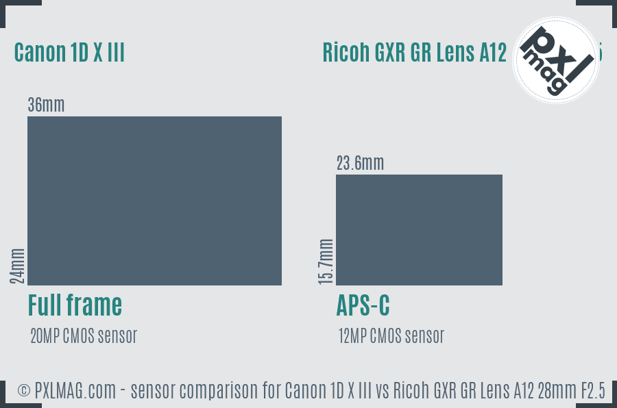Canon 1D X III vs Ricoh GXR GR Lens A12 28mm F2.5 sensor size comparison
