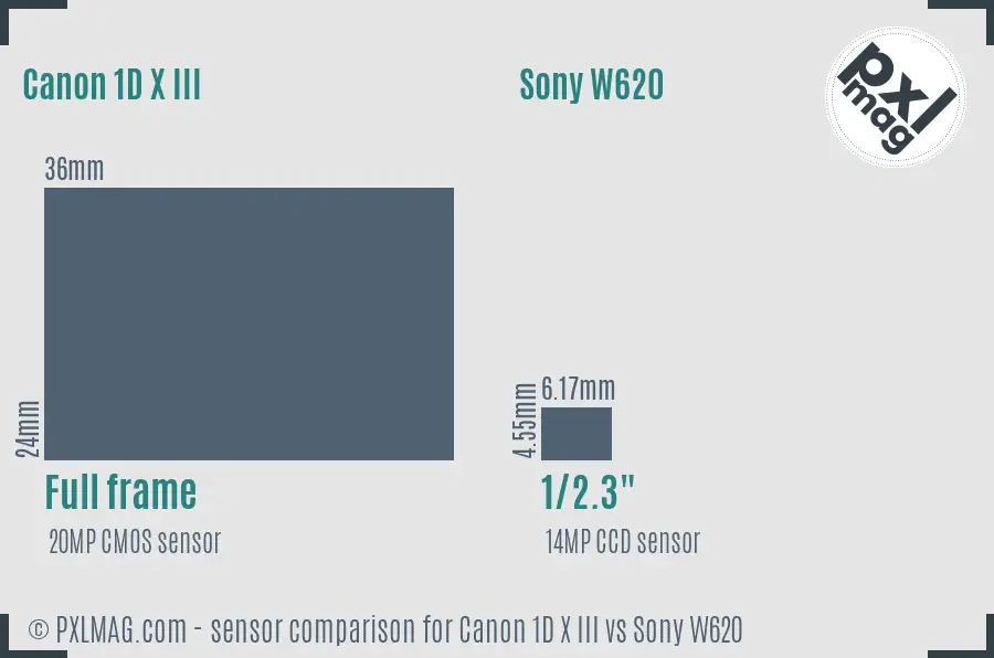 Canon 1D X III vs Sony W620 sensor size comparison