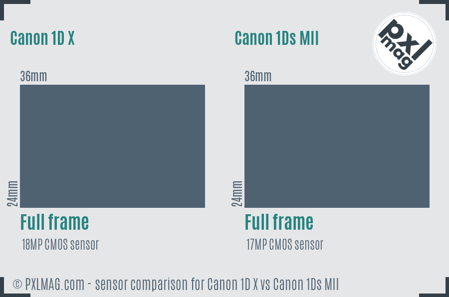 Canon 1D X vs Canon 1Ds MII sensor size comparison
