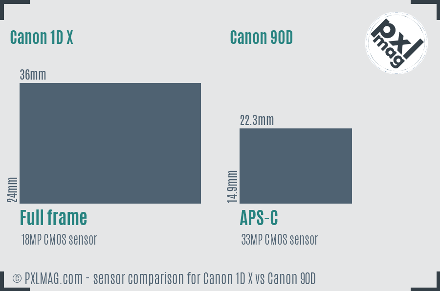 Canon 1D X vs Canon 90D sensor size comparison