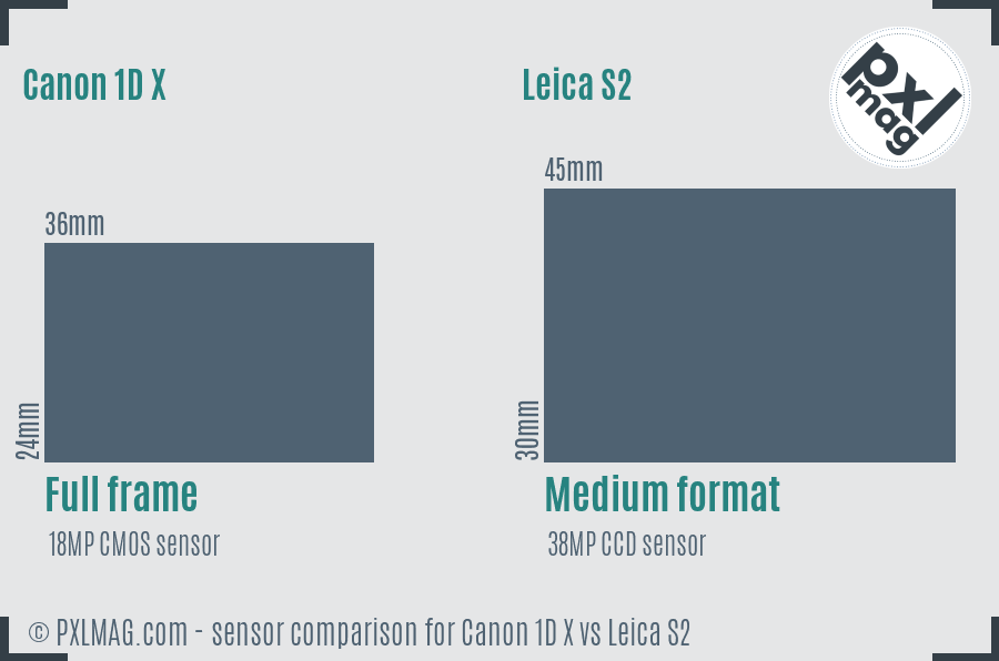 Canon 1D X vs Leica S2 sensor size comparison