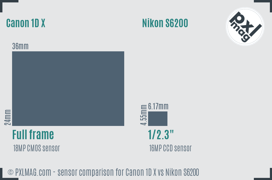 Canon 1D X vs Nikon S6200 sensor size comparison