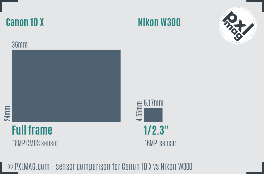 Canon 1D X vs Nikon W300 sensor size comparison
