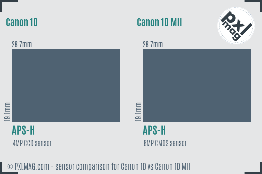 Canon 1D vs Canon 1D MII sensor size comparison