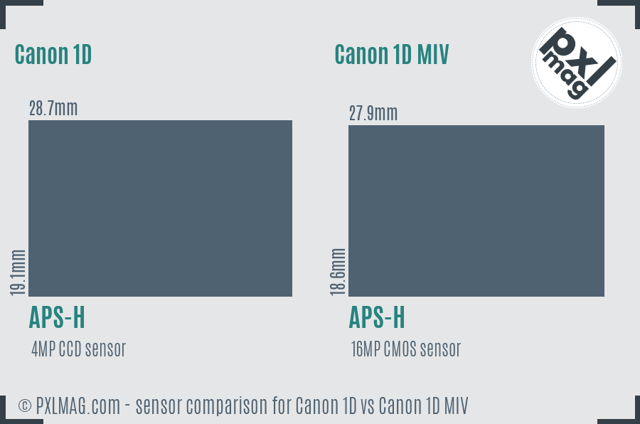 Canon 1D vs Canon 1D MIV sensor size comparison