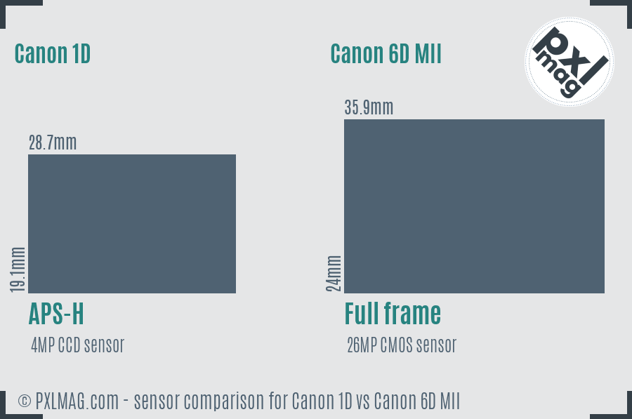 Canon 1D vs Canon 6D MII sensor size comparison
