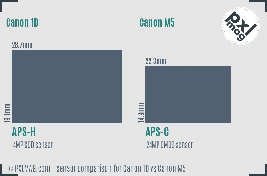 Canon 1D vs Canon M5 sensor size comparison Canon 1D vs Canon M5 sensor size comparison