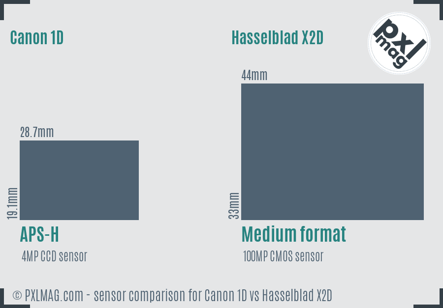 Canon 1D vs Hasselblad X2D sensor size comparison Canon 1D vs Hasselblad X2D sensor size comparison