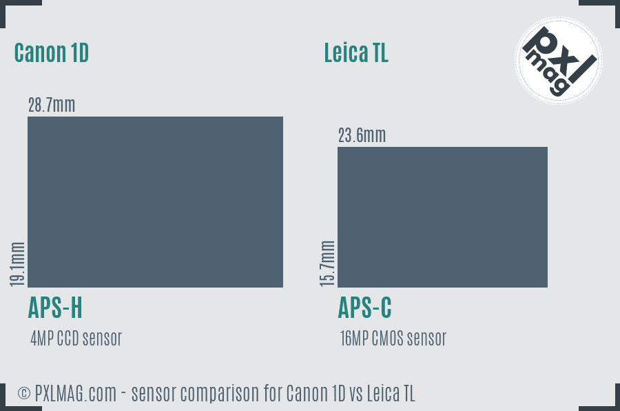 Canon 1D vs Leica TL sensor size comparison