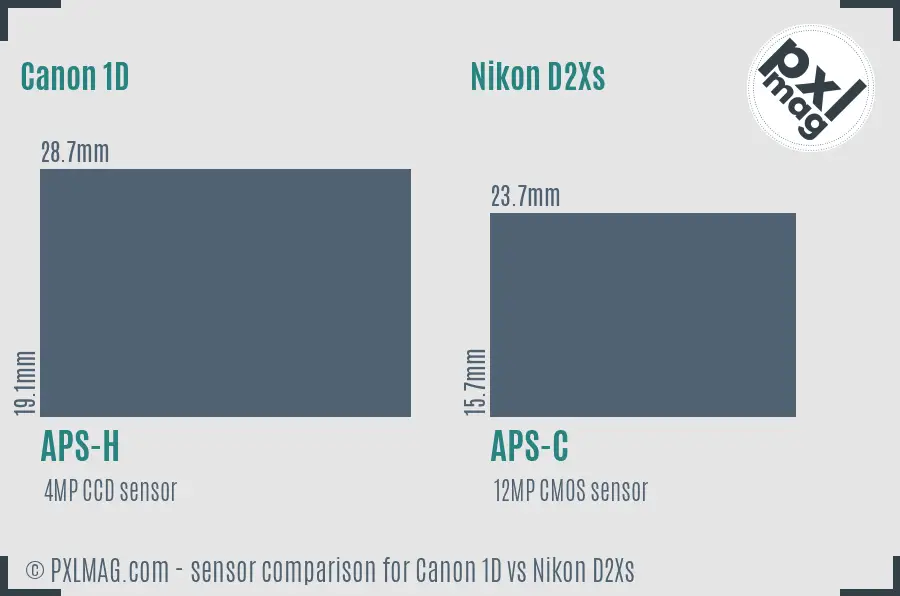 Canon 1D vs Nikon D2Xs sensor size comparison