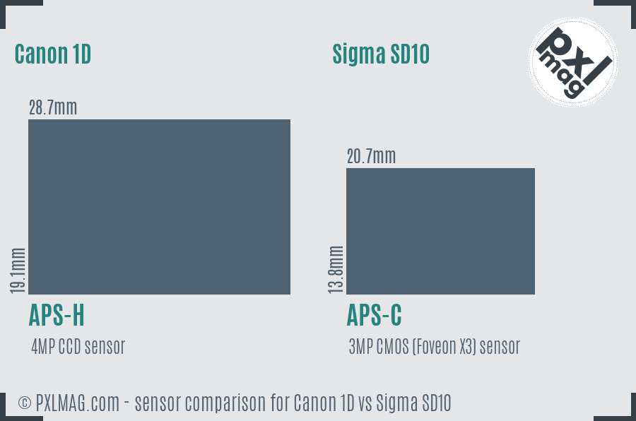 Canon 1D vs Sigma SD10 sensor size comparison