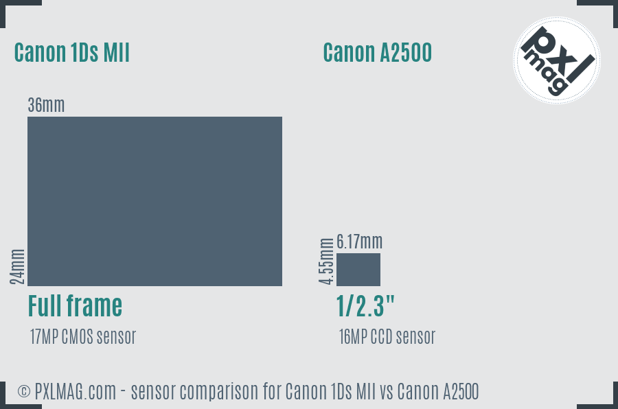 Canon 1Ds MII vs Canon A2500 sensor size comparison