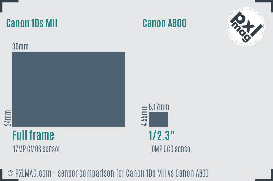 Canon 1Ds MII vs Canon A800 sensor size comparison