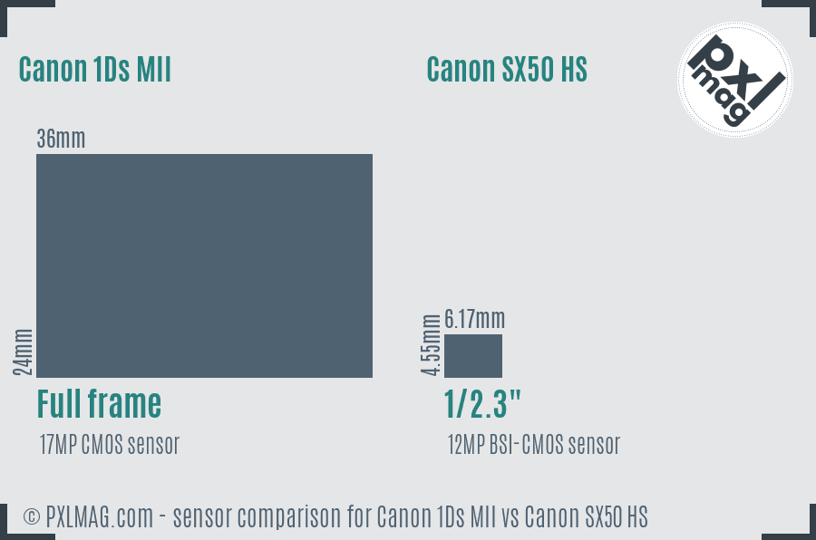 Canon 1Ds MII vs Canon SX50 HS sensor size comparison