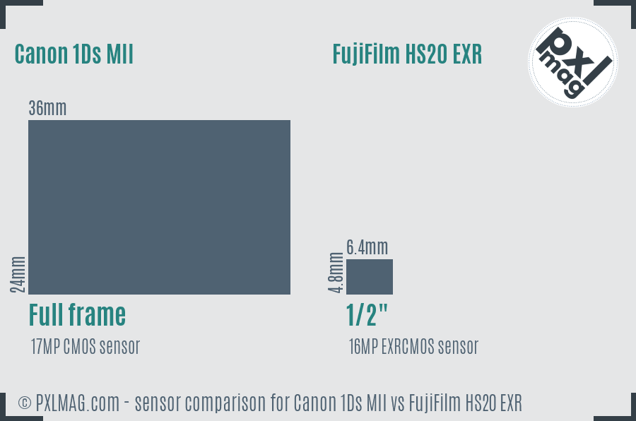 Canon 1Ds MII vs FujiFilm HS20 EXR sensor size comparison