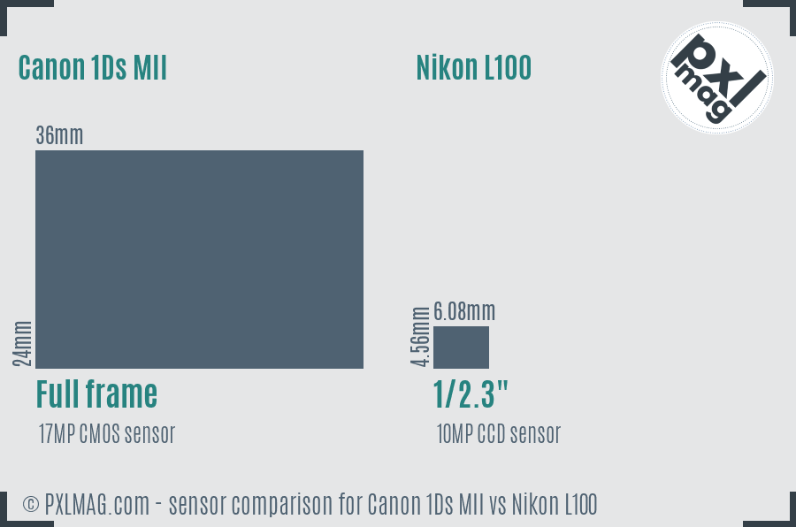 Canon 1Ds MII vs Nikon L100 sensor size comparison