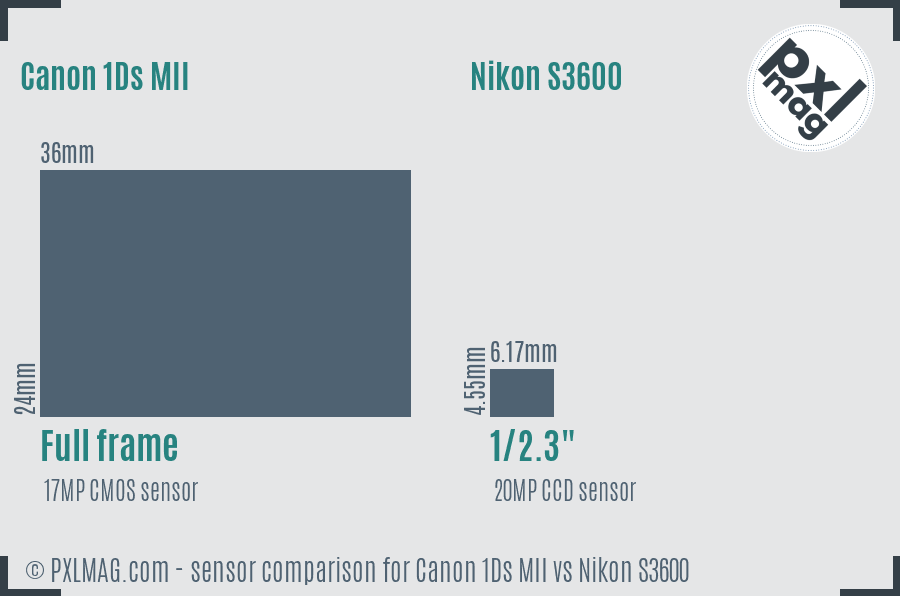 Canon 1Ds MII vs Nikon S3600 sensor size comparison Canon 1Ds MII vs Nikon S3600 sensor size comparison