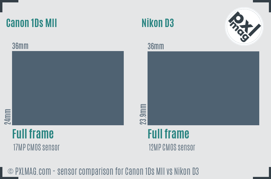 Canon 1Ds MII vs Nikon D3 sensor size comparison