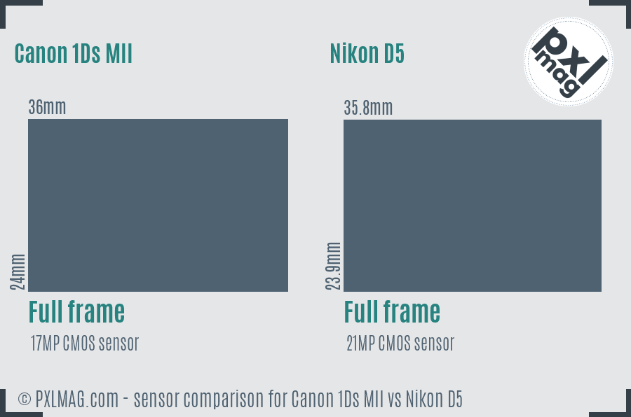 Canon 1Ds MII vs Nikon D5 sensor size comparison