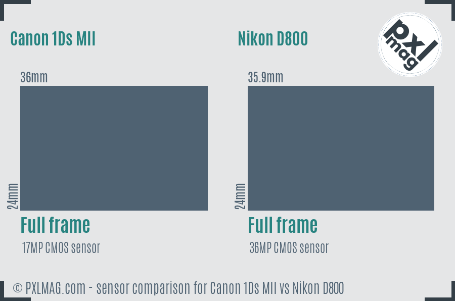 Canon 1Ds MII vs Nikon D800 sensor size comparison