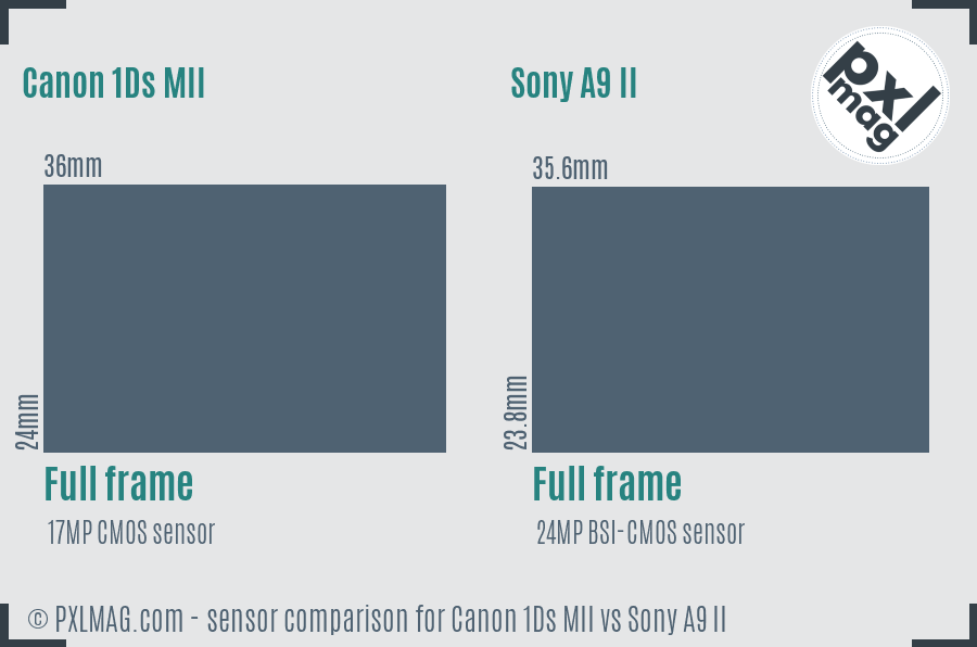 Canon 1Ds MII vs Sony A9 II sensor size comparison